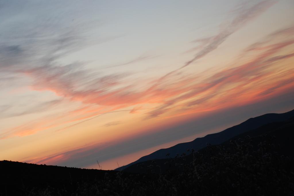 아르버스 Agriturismo Rocca Su Moru 빌라 외부 사진