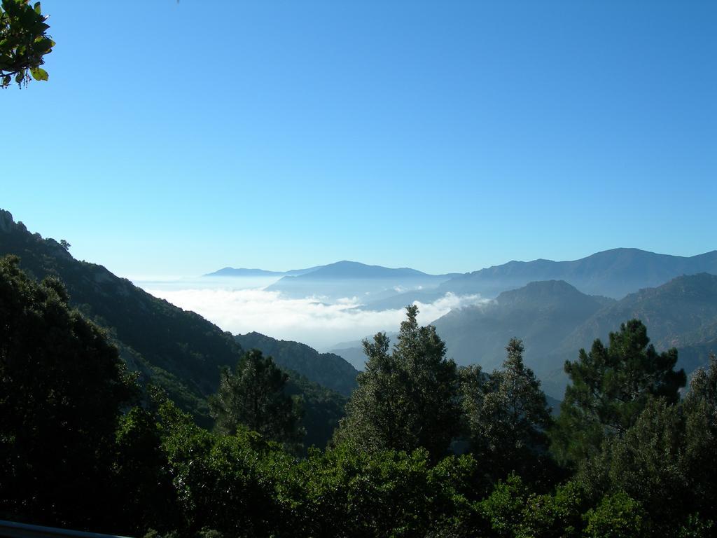 아르버스 Agriturismo Rocca Su Moru 빌라 외부 사진