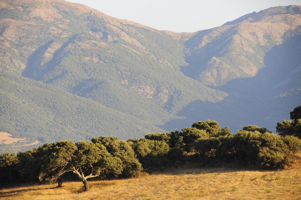 아르버스 Agriturismo Rocca Su Moru 빌라 외부 사진