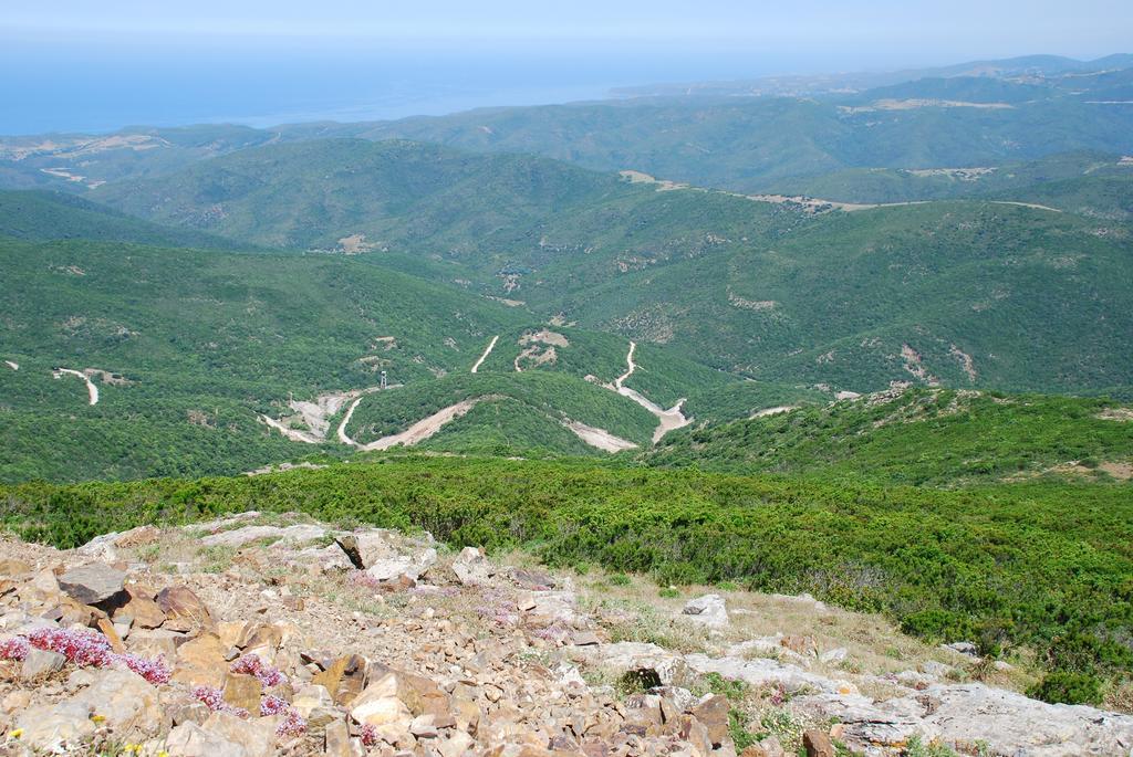아르버스 Agriturismo Rocca Su Moru 빌라 외부 사진