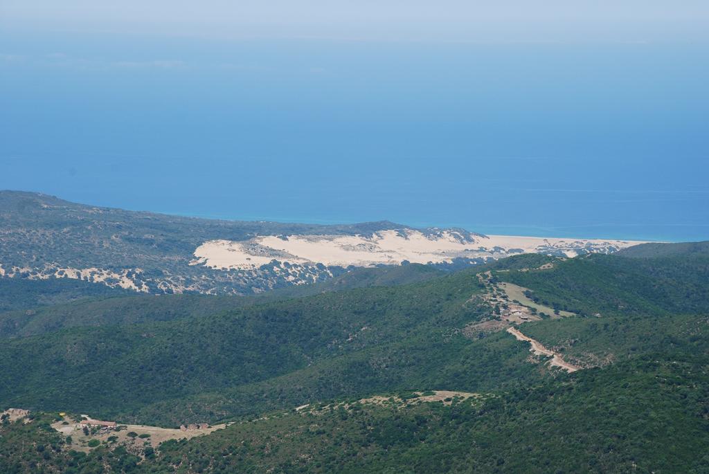 아르버스 Agriturismo Rocca Su Moru 빌라 외부 사진