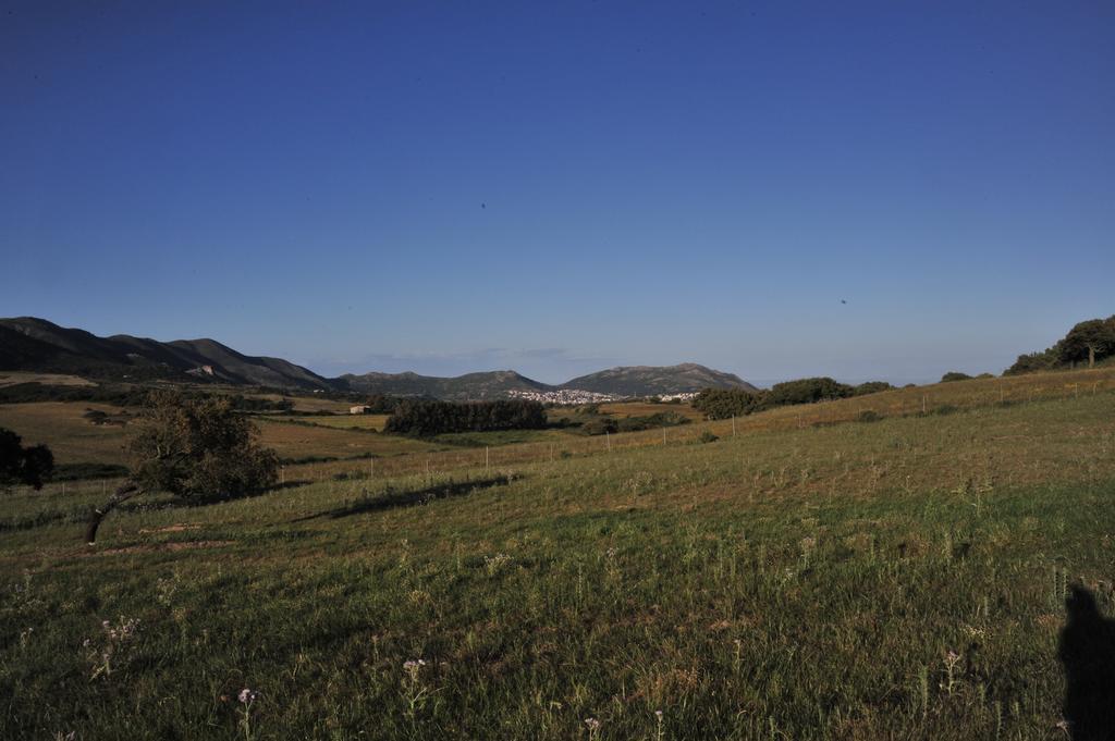 아르버스 Agriturismo Rocca Su Moru 빌라 외부 사진
