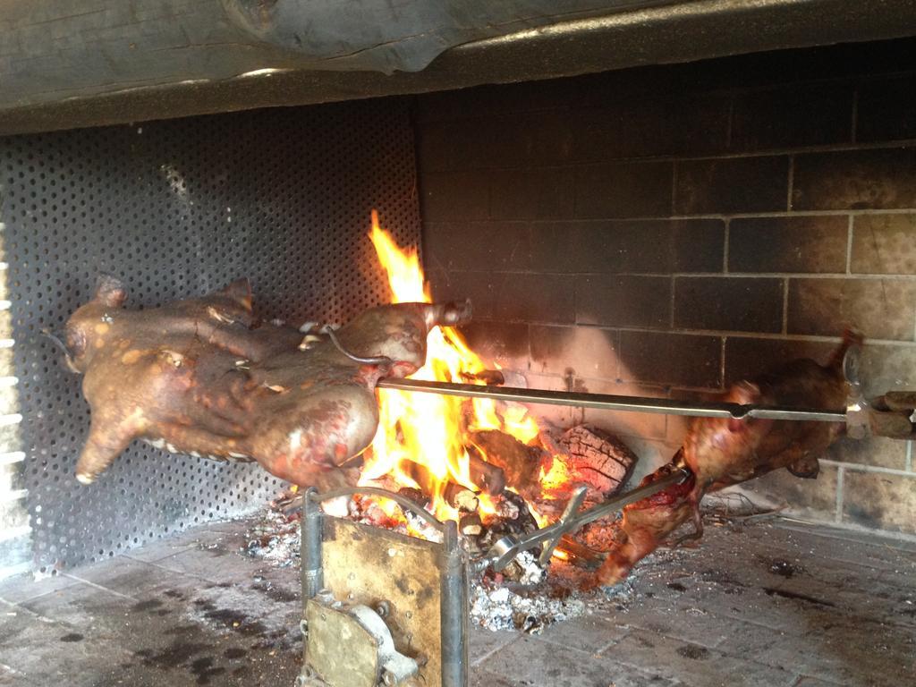 아르버스 Agriturismo Rocca Su Moru 빌라 외부 사진